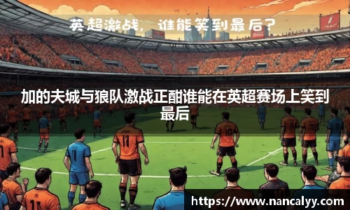 加的夫城与狼队激战正酣谁能在英超赛场上笑到最后