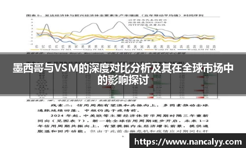墨西哥与VSM的深度对比分析及其在全球市场中的影响探讨